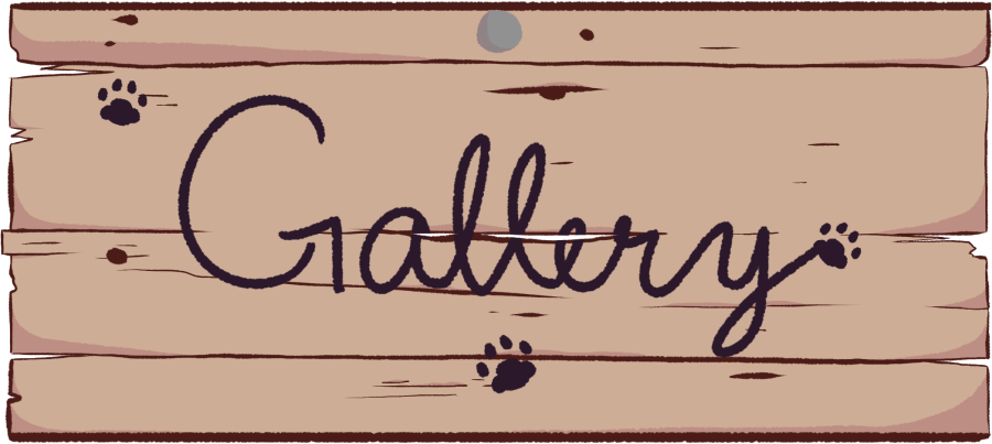 Jamina Bach Art Gallery